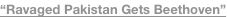 shapeimage_2_link_36